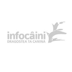 Catinca Sulea Catinca Sulea