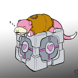 Jesse Moltmeconre